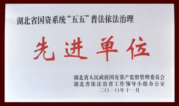 LEWIN·乐玩-(中国唯一)官方网站