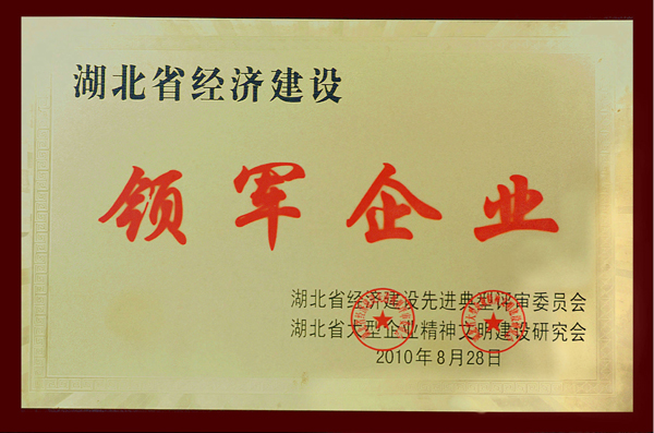 LEWIN·乐玩-(中国唯一)官方网站