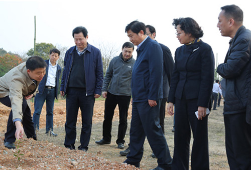 集团公司马董事长同市纪委辅导赴黄陂区实地调研扶贫攻坚工作-乐玩 集团公司马董事长同市纪委辅导赴黄陂区实地调研扶贫攻坚工作-乐玩