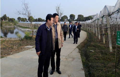 集团公司马董事长同市纪委辅导赴黄陂区实地调研扶贫攻坚工作-乐玩 集团公司马董事长同市纪委辅导赴黄陂区实地调研扶贫攻坚工作-乐玩
