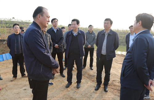 集团公司马董事长同市纪委辅导赴黄陂区实地调研扶贫攻坚工作-乐玩 集团公司马董事长同市纪委辅导赴黄陂区实地调研扶贫攻坚工作-乐玩