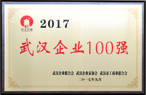 集团公司位居2017年武汉百强企业第十名-乐玩 集团公司位居2017年武汉百强企业第十名-乐玩
